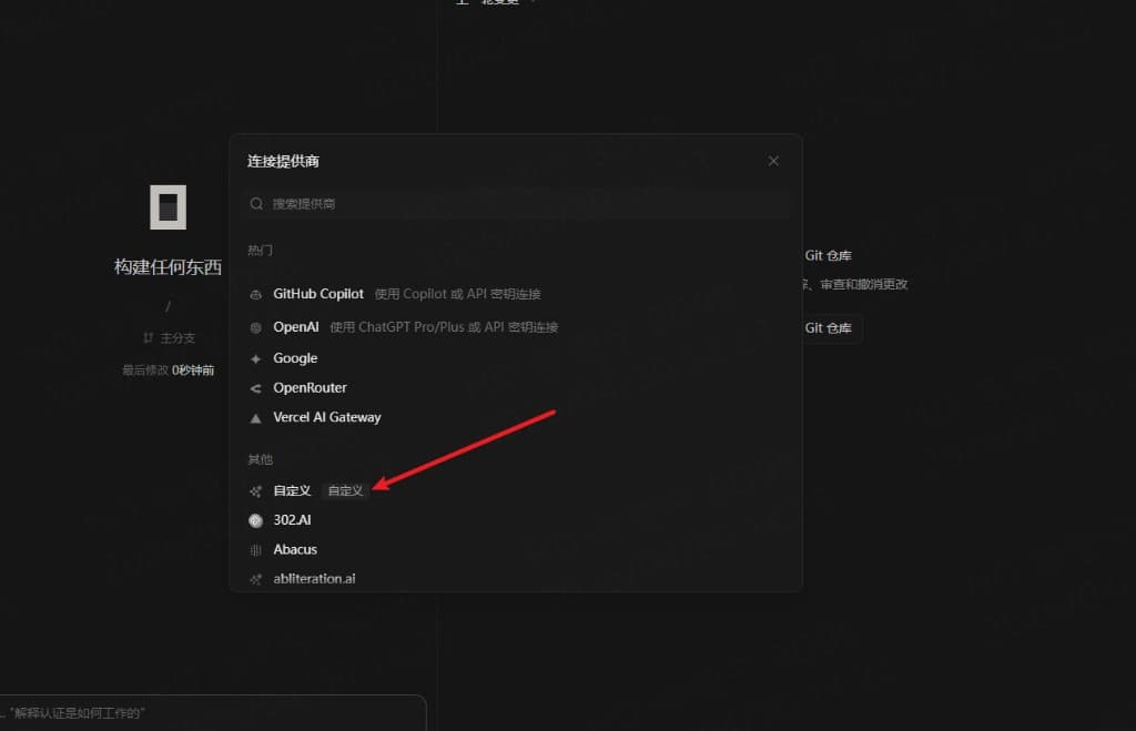 选择自定义提供商